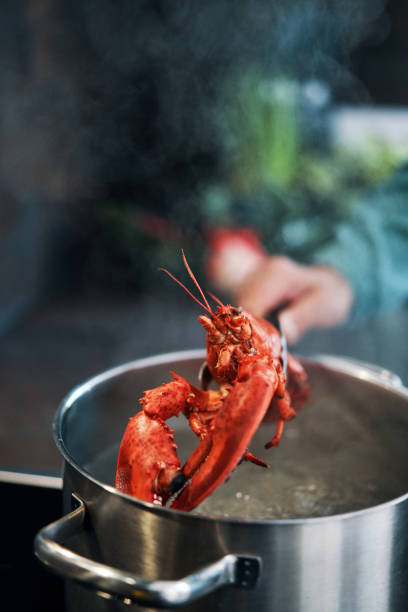 istock Cooking Fresh Lobster for Holidays 1429422702
