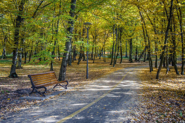 istock Lantern and bench on the road among yellow autumn 1429427869