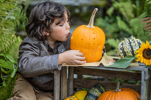 Long-haired brown-eyed boy in the garden making a pumpkin mask for Halloween, Austria.