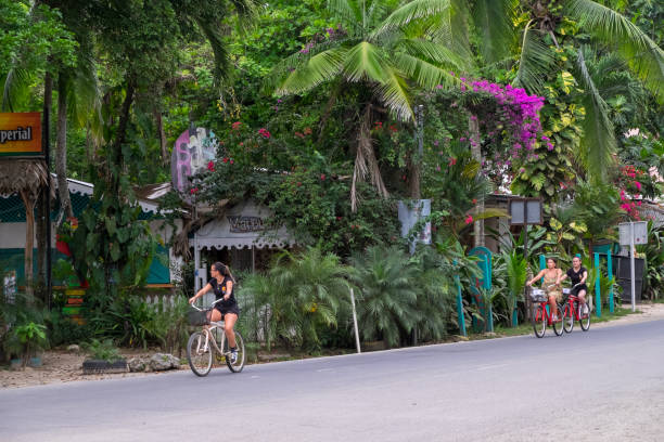 コスタリカの緑豊かな自然�とサイクリスト - limon province ストックフォトと画像