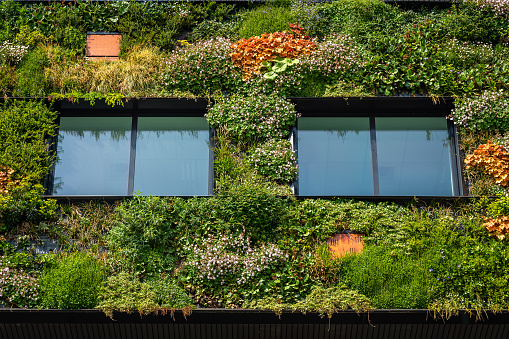Wall of modern eco-friendly building covered with plants