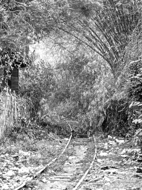 заброшенный железнодорожный отрог в янгоне - burma railway стоковые фото и изображения