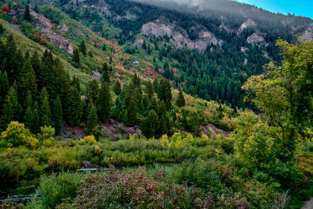 An Early Fall Morning In Provo Canyon, Utah. Morning sunlight peeks over a mountain ridge as the Provo river flows through Provo Canyon in Utah. provo stock pictures, royalty-free photos & images