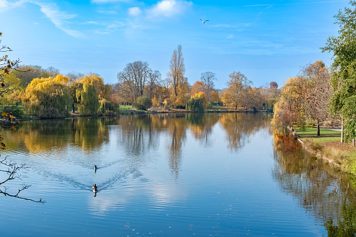 The Vincennes lake, with reflection of the trees in autumn
