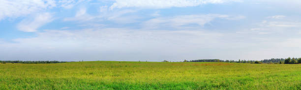 istock Field and forest on the horizon extra large panoramic landscape 1429439753