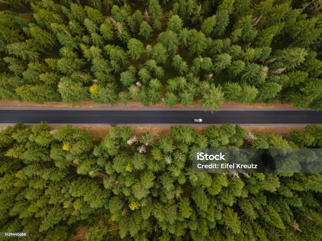 Drone View of Road Through the Mount Hood National Forest in Oregon Top down drone view of scenic road through pine trees in the Mount Hood National Forest in Oregon in the summer. Portland - Oregon Stock Photo