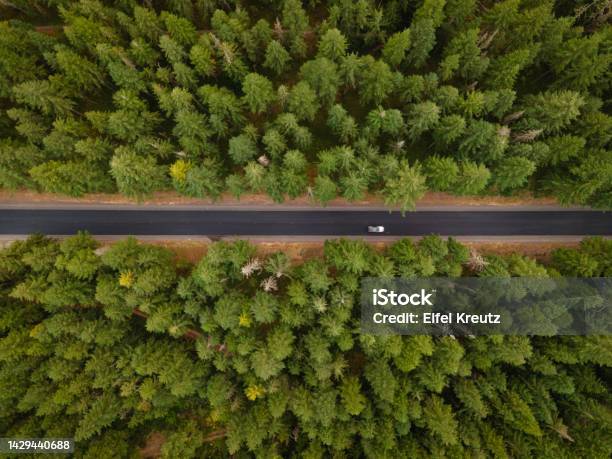 Drone View Of Road Through The Mount Hood National Forest In Oregon Stock Photo - Download Image Now