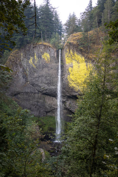 istock Latourell Falls in the Columbia River Gorge in Oregon 1429440849
