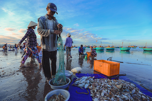 Mui ne Vietnam January 22, 2019 : Early morning fishing village in Mui ne, full of Vietnamese vendor on the beach