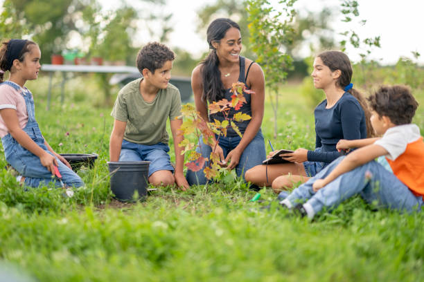 istock Community Volunteers Planting Trees 1429461392