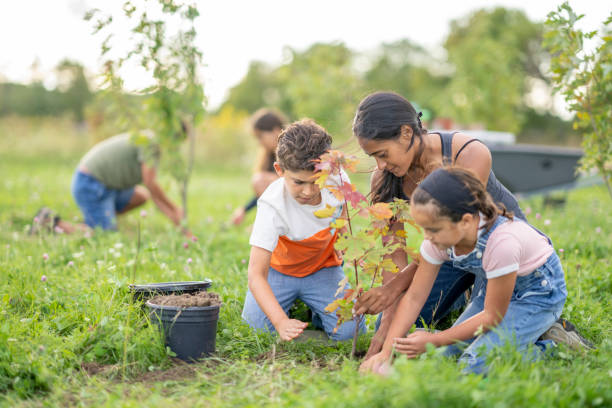 istock Children Volunteering to Plant 1429461407