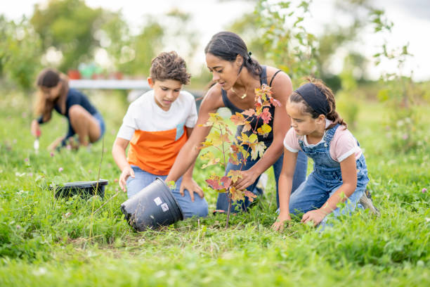 istock Children Volunteering to Plant 1429461428