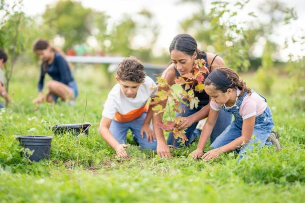 istock Children Volunteering to Plant 1429461435