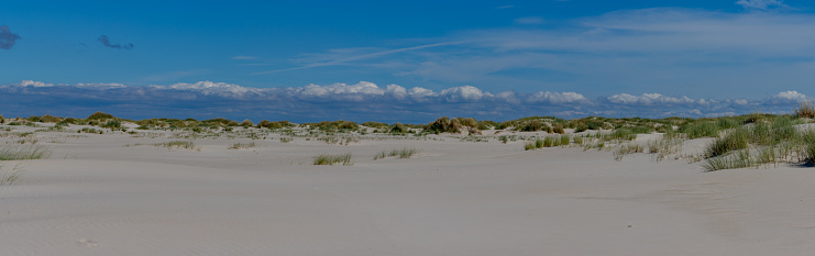 Sand Dunes and Grasses near Mason Bay on Stewart Island in New Zealand