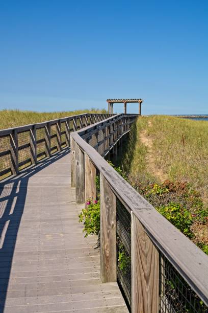 boardwalk across sand dunes towards atlantic ocean beach at plum island - plum imagens e fotografias de stock