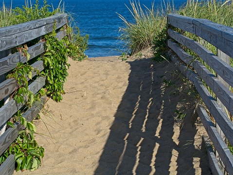 Wooden fence along sandy beach access footpath to Atlantic Ocean on Plum Island in Newburyport Massachusetts. Afternoon sun paints fence shadow on path. Beach plum poke through fence. Waves on Atlantic Ocean in background