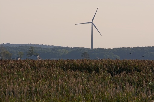Wind turbine towering over Plum Island Sound marsh lands in hazy late afternoon sun. Cottages dot the shoreline. View from Parker River National Wildlife Refuge on Plum Island.
