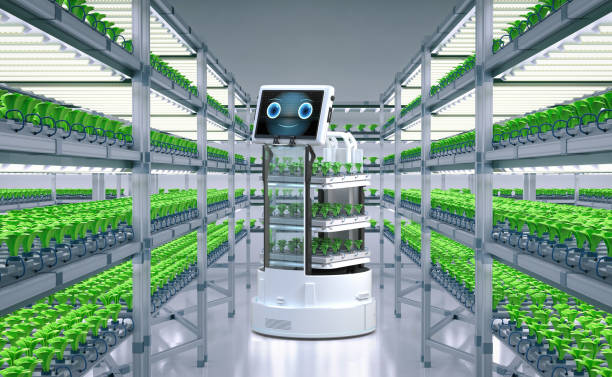 istock Robot assistant in light growth indoor farm 1429485845