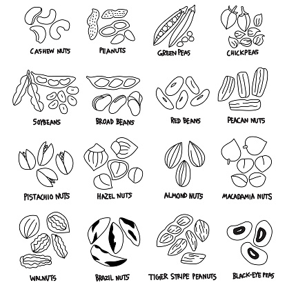 Biogetreide Und Getreidesamenkollektion Im