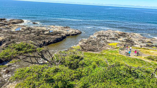 istock The Beauty of the Oregon Coast 1429519321