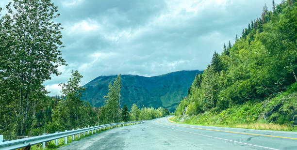 istock Traveling Through Alaska in Summer 1429519740