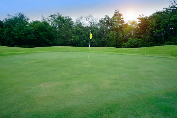 istock The evening golf course has sunlight shining down at golf course in Thailand 1429528544