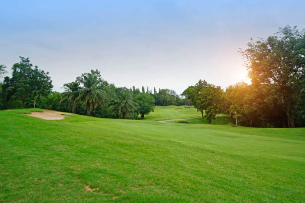 istock The evening golf course has sunlight shining down at golf course in Thailand 1429528637