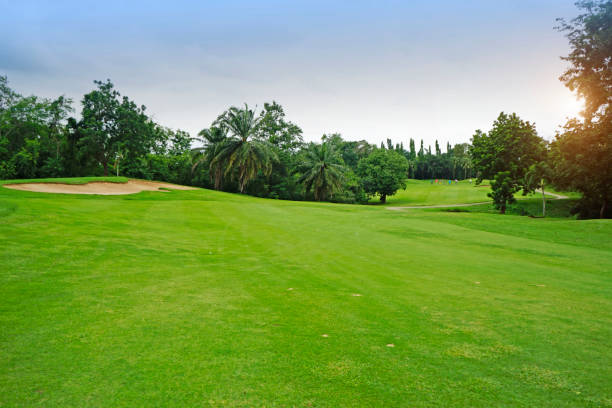 istock The evening golf course has sunlight shining down at golf course in Thailand 1429528692