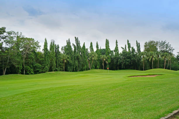 istock The evening golf course has sunlight shining down at golf course in Thailand 1429528738