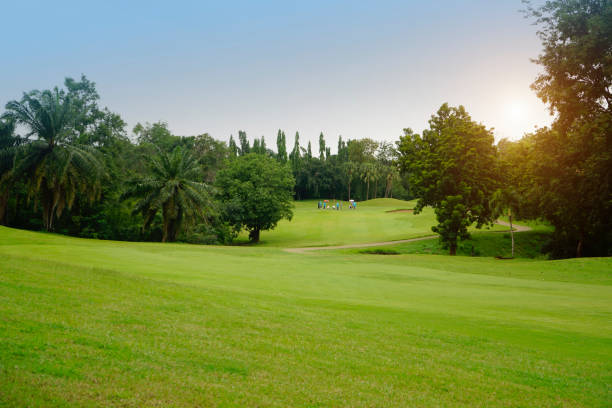 istock Background of evening golf course has sunlight shining down at golf course in Thailand 1429528740