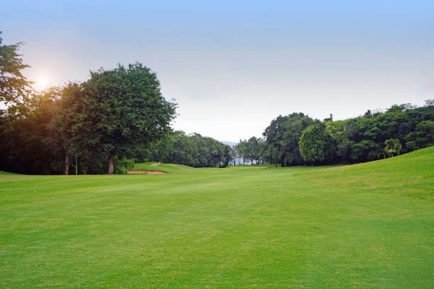 istock The evening golf course has sunlight shining down at golf course in Thailand 1429528779