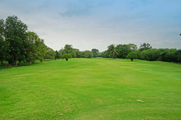 istock Beautiful golf course in a sunny day. 1429528781