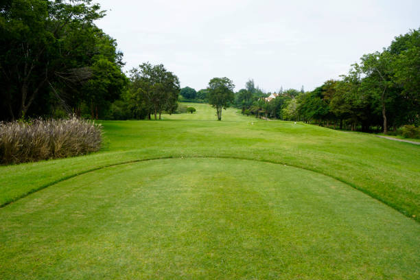 istock Beautiful golf course in a sunny day. 1429528826