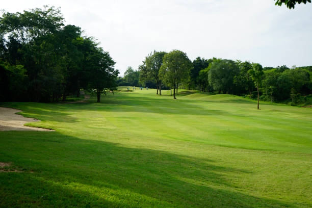 istock Beautiful golf course in a sunny day. Background evening golf course has sunlight shining down. Golf course in the countryside. 1429528844