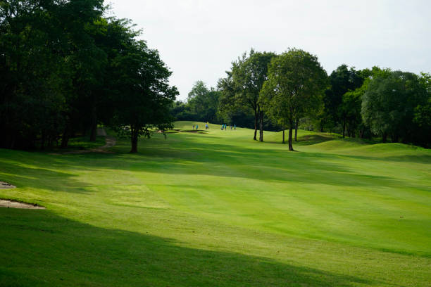 istock Beautiful golf course in a sunny day. 1429528870