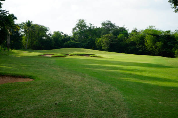 istock Beautiful golf course in a sunny day. 1429528886
