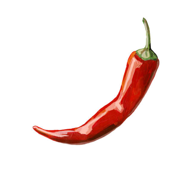 istock Hand drawing red hot chili pepper isolated on a white background 1429533612