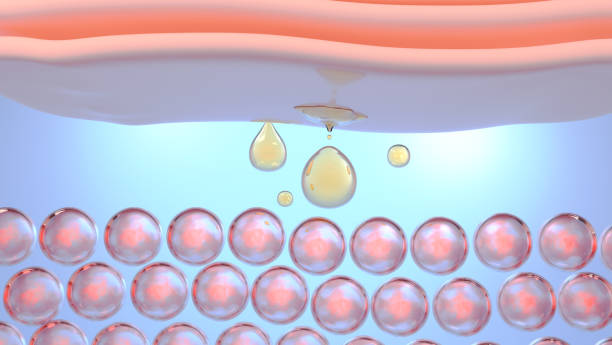 istock Serum and skin cell 1429537833