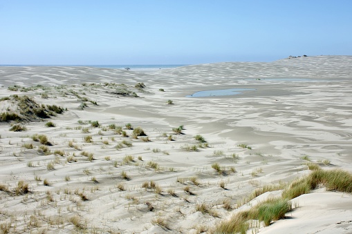Beautiful wild remote sand dunes landscape. Taken at the Farewell Spit in New Zealand's South Island.