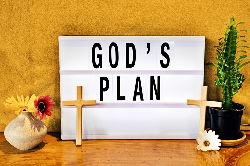 The words 'God's Plan' in a modern light box theme surrounded by religious cross, crucifix, plants and flowers. This is part of my  Signs of the Times collection inspired by church billboard signs for a religious revival movement and great awakening.