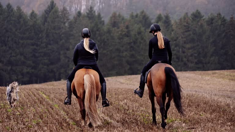 Two Equestrian Ladies Riding Horses Along the Autumn Field