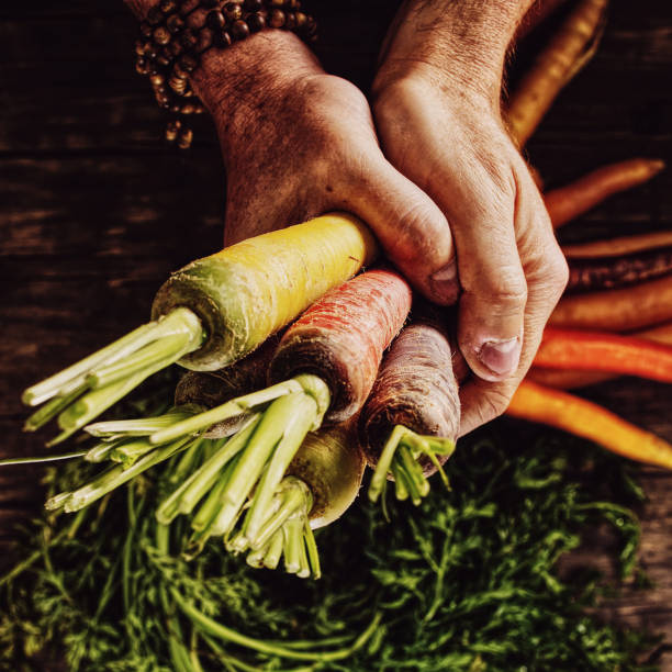Bunch of carrots