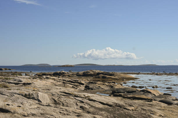 istock Summer on the White Sea. 1429566039