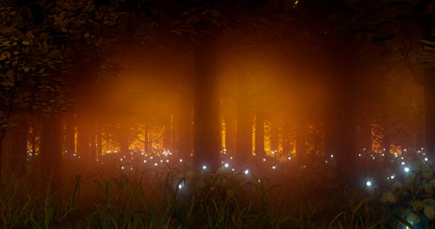 istock 3d rendering. Illustration of autumn forest in sunlight and mist. 1429571320