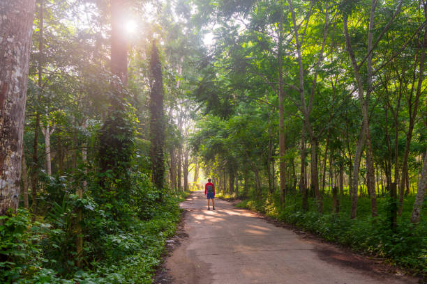 istock A man walks on the road at sunrise 1429572957