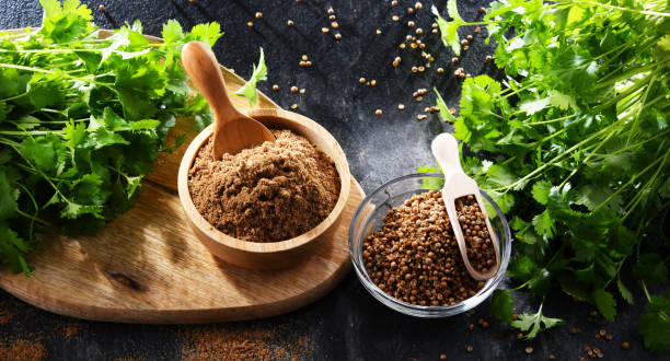 istock Ground coriander, its dried seeds and fresh leaves 1429574102