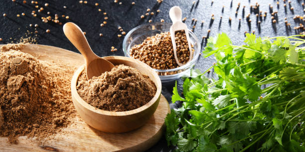 istock Ground coriander, its dried seeds and fresh leaves 1429574151