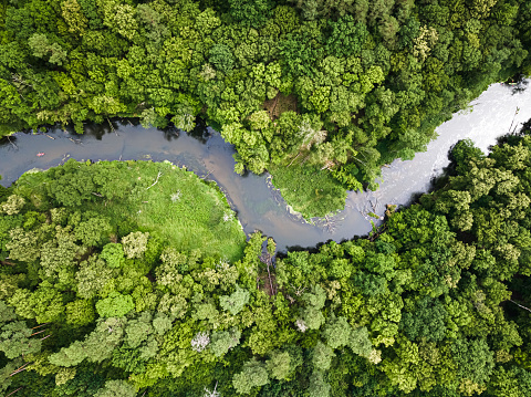 Aerial view of kayaking on river in wildlife, Poland. Aerial view of Poland, Europe