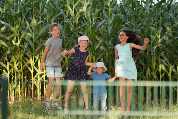 istock Four children gallop merrily against the backdrop of corn 1429574749