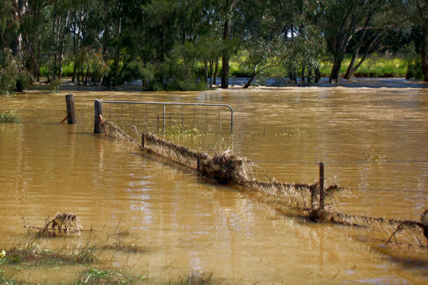 A flooded road with depth indicators in Queensland, Australia